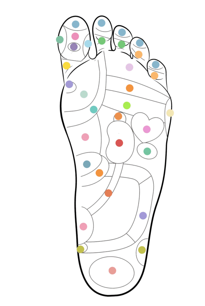 Mapa de los puntos de acupresión en la planta del pie, ilustrando cómo las plantillas Akusoli dirigen su acción para el soporte y alivio.