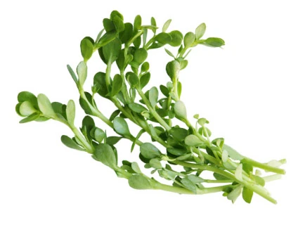 Representación de Bacopin®, para la mejora cognitiva y la salud cerebral