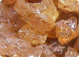 Ilustración de Boswellin, extracto de incienso hindú para articulaciones