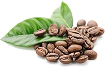 Cafeína: ingrediente que potencia la acción de Steplex para un alivio más rápido.