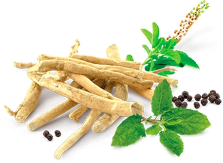 Imagen de Rhodiolife®, componente esencial para la memoria y concentración