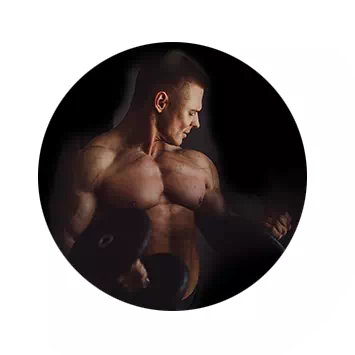 Ilustración del complejo vascular para Nutrigo Lab Strength